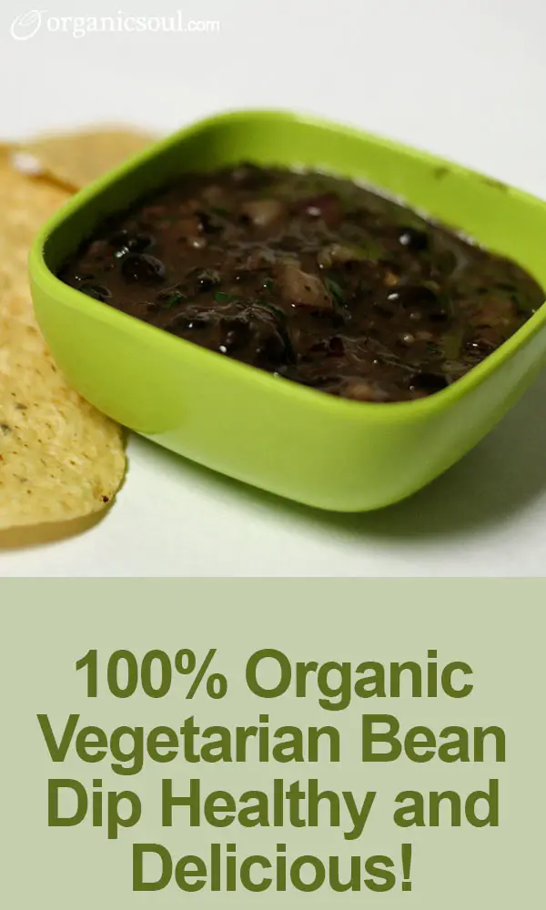 100-Organic-Vegetarian-Bean-Dip-–-Healthy-and-Delicious---pin