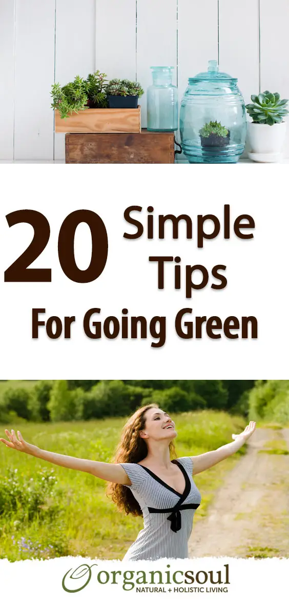 20-simple-tips-for-going-green-pin