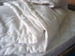 Organic wool comforter