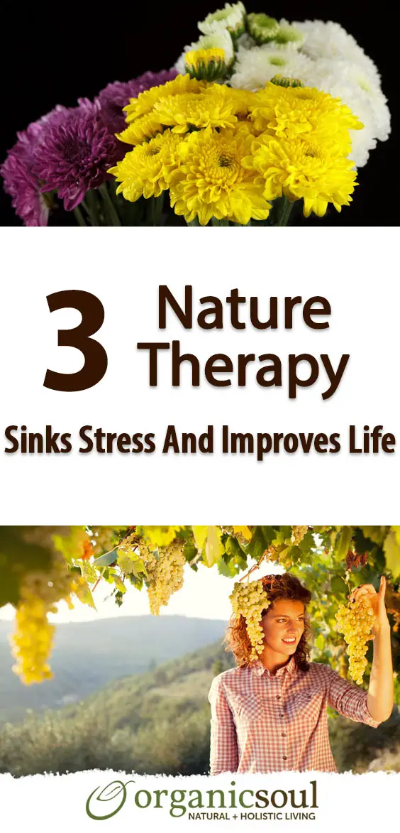 3-proven-ways-nature-therapy-sinks-stress-and-improves-life-pin